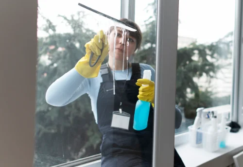 Nettoyage de vitres intérieures et extérieures à Arçonnay